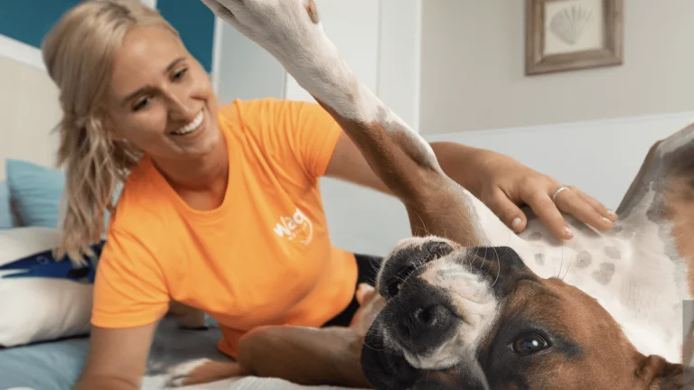 Image from Wag hotels on DogTrekker